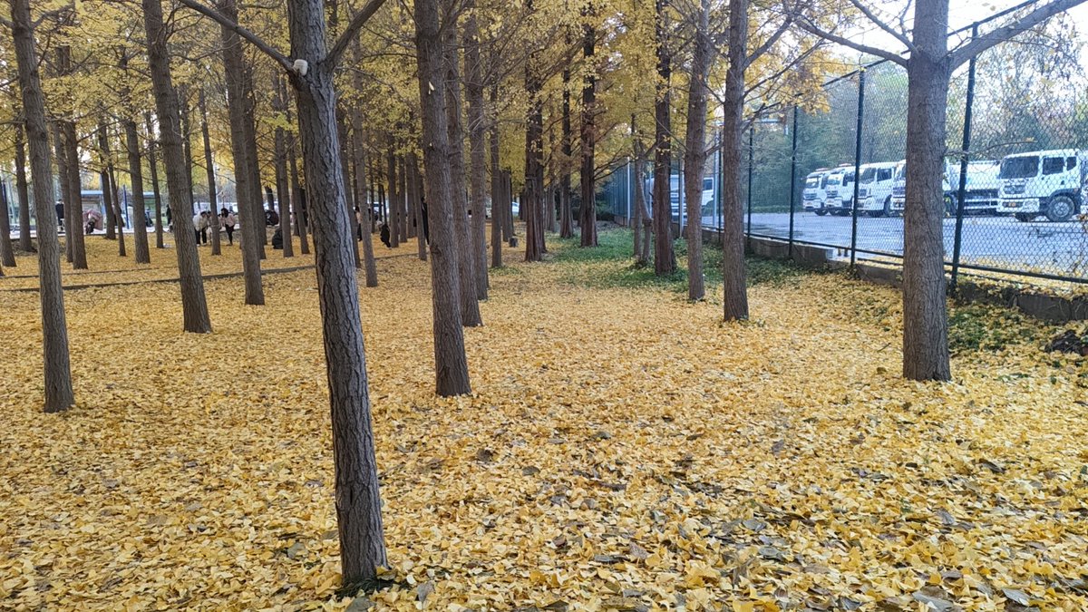 关税结束，这场因关税起因的下跌后上涨放水，暂时结束，美国通胀会下去，降息会减缓，美股会调整。我想看到30000的比特币