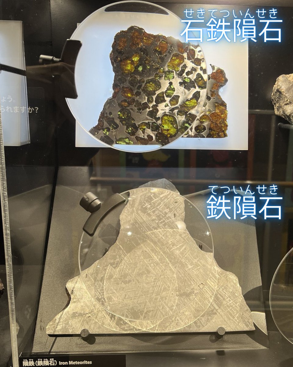 謎の化石(リツイテスと思われる) 当館所蔵の異常巻アンモナイトが新種として発表されました | 三笠市立