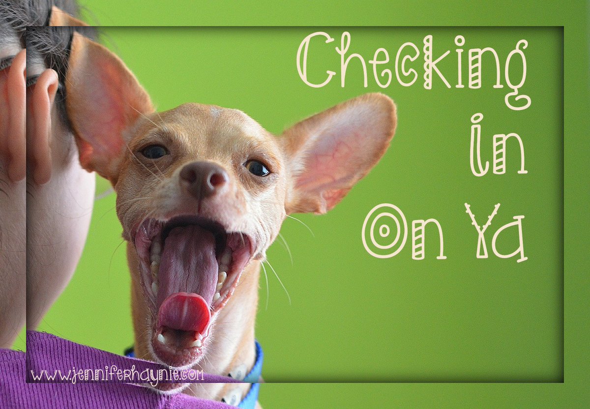 JenniferHaynie1's tweet image. What is one word to describe your #workweek? Mine is relaxed. It was good not to have huge demands on my time at the office. #FunFridays