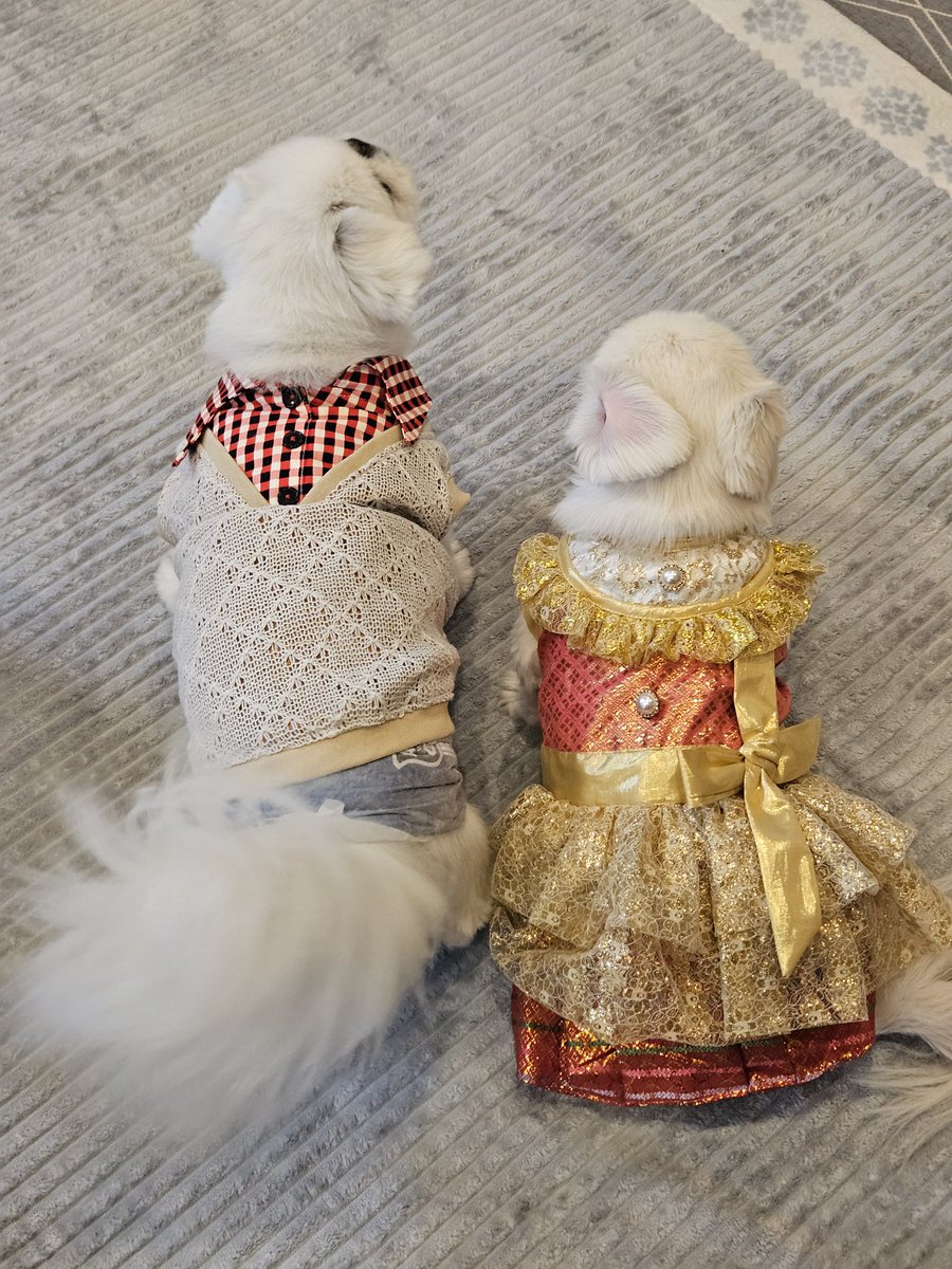 ニコママ様御確認用ページ☆ ニコママ様御確認用ページ☆