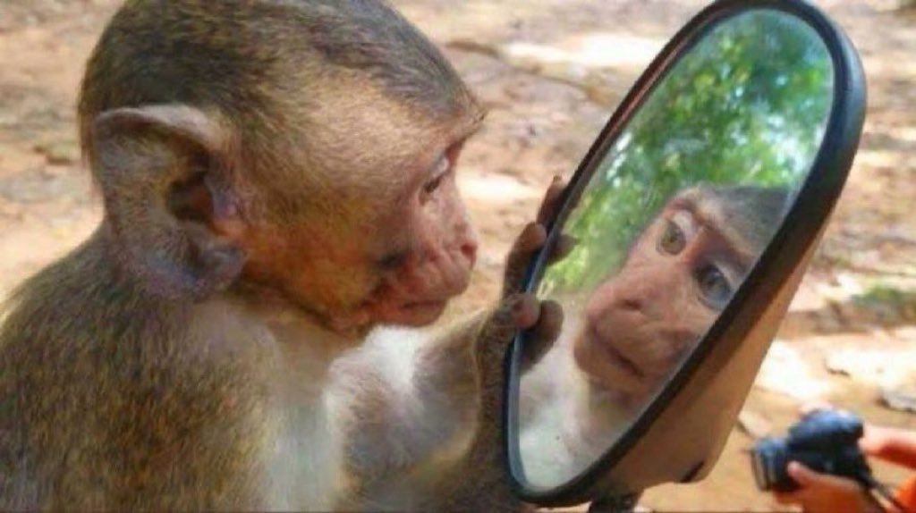 My girlfriend told me to look into the mirror and see the ugly man that's always there😭😭😂