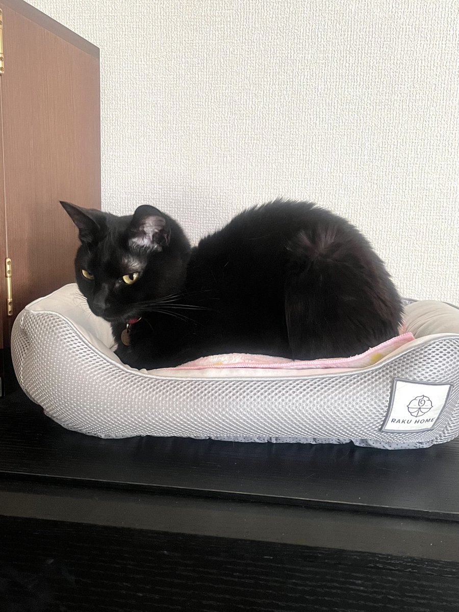 なんて美しい丸み