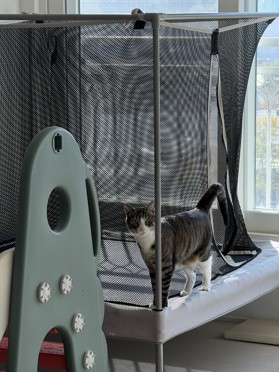 with_mgrk's tweet image. 조만간 다 찢는 거 아녀?(자꾸 트램펄린 안에 들어감)