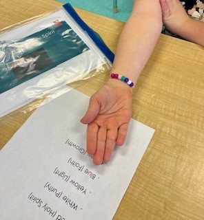 BHN Special Education tweet media