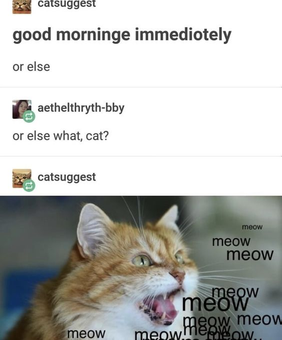 WholesomeMemes (@wholesomememe) on Twitter photo 