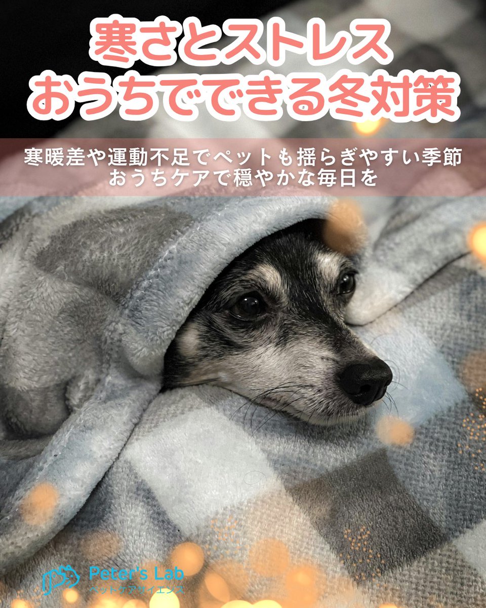 PetersLab_JP tweet picture