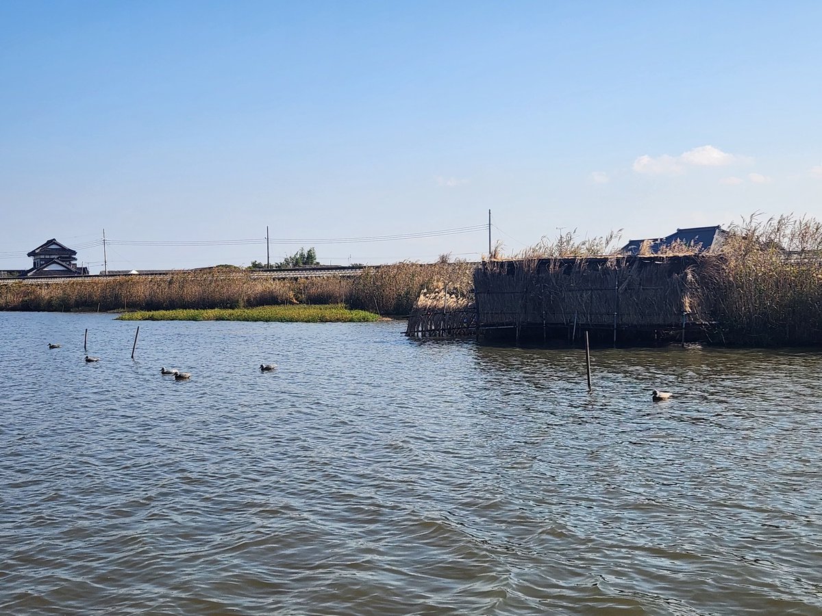 松屋ボート tweet media