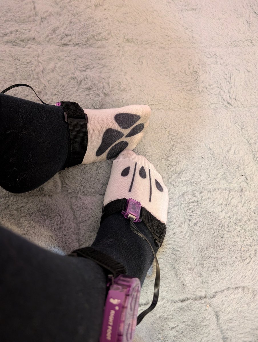 Big Blue Gay Dog tweet media