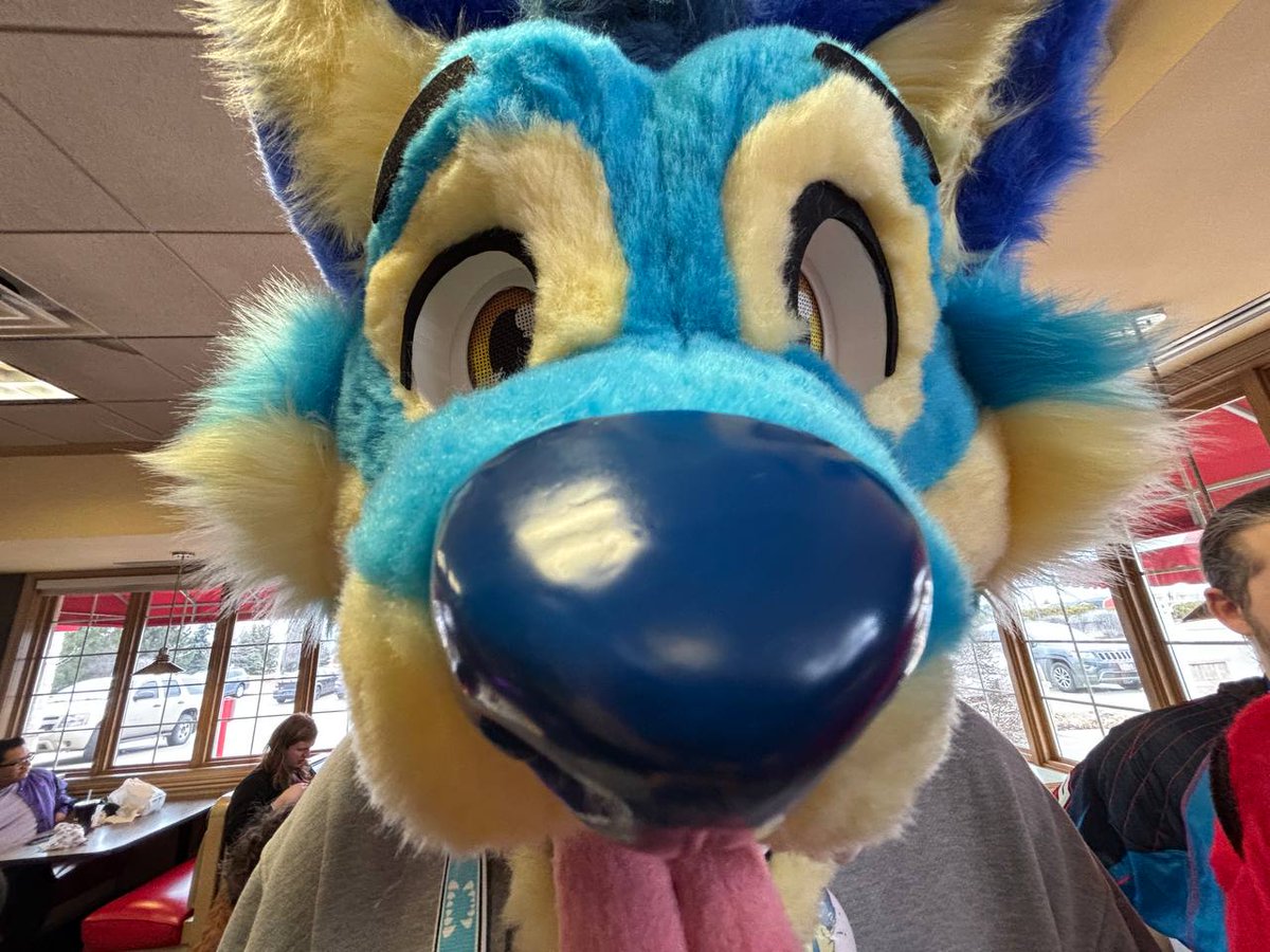 Dingodtn's tweet image. I know you have games on that phone... #furry #fursuit #dumbdog  #bluedog