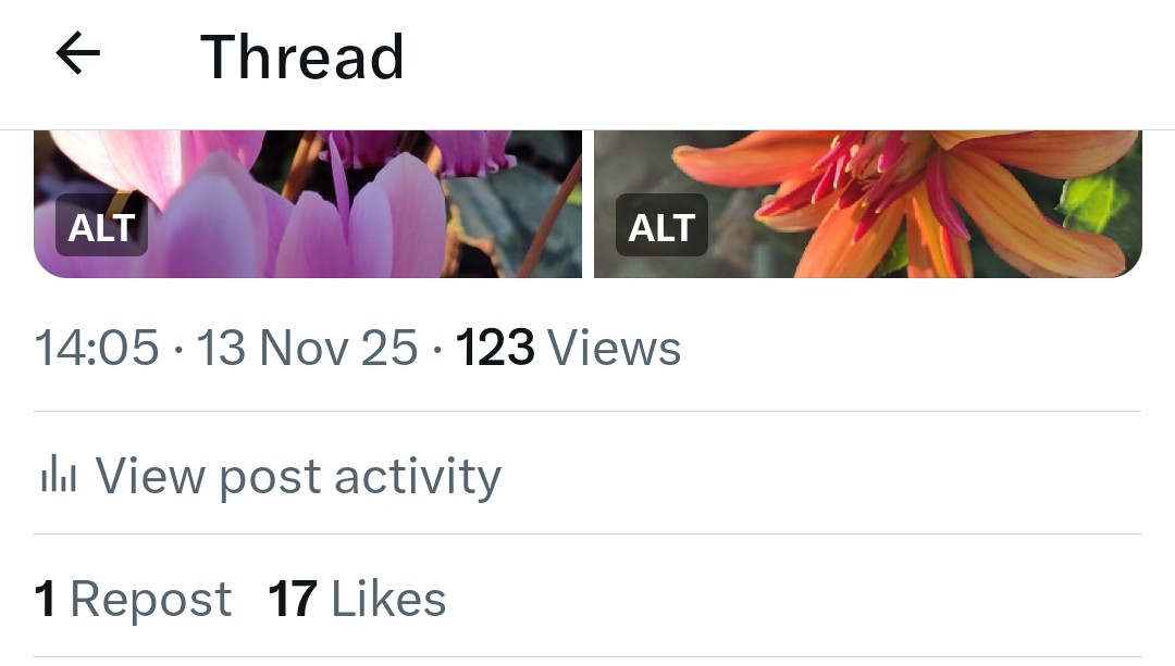 Richard Lewis tweet media