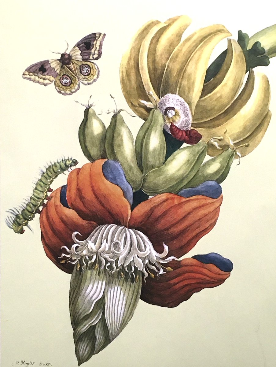 立体絵画の「一輪の睡蓮と、近寄る昆虫」 【公式通販】