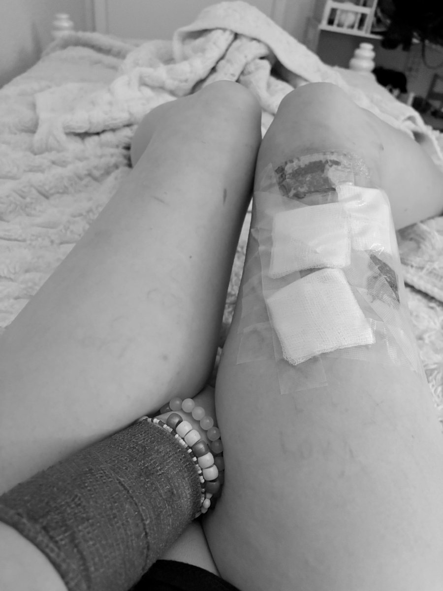 jestercultz's tweet image. 