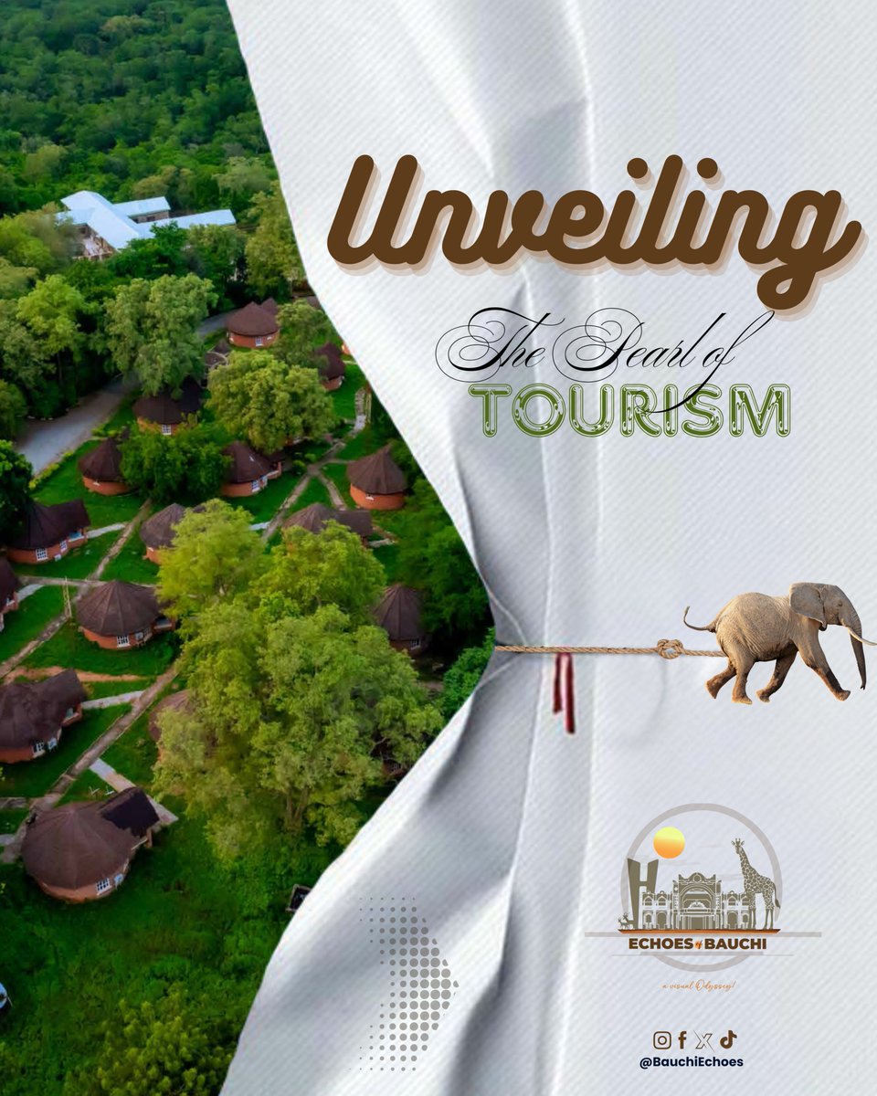 Behind every Mountain, every tapestry, and every echo of wildlife lies a story worth unveiling.
This is Bauchi — the pearl of tourism.
This is our heritage.
This is Echoes of Bauchi!

#EchoesOfBauchi #ThisIsBauchi #Bauchi