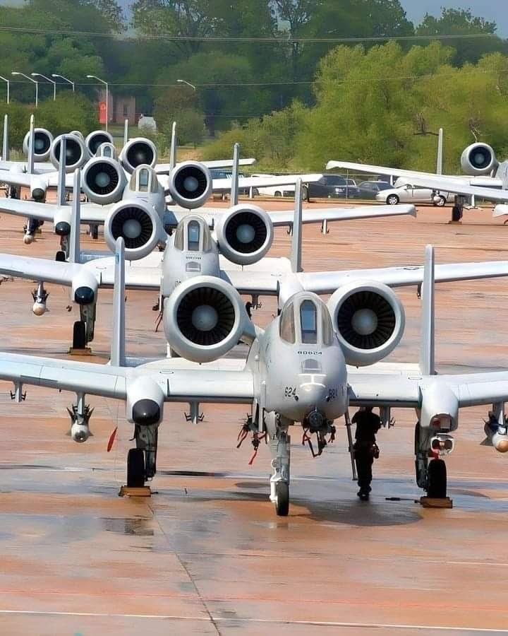 defense_civil25's tweet image. 🚨Update: President Trump is considering air strikes against Narco Terrorist targets in Mexico!! It’s time to Make Mexico Great Again! 🇲🇽