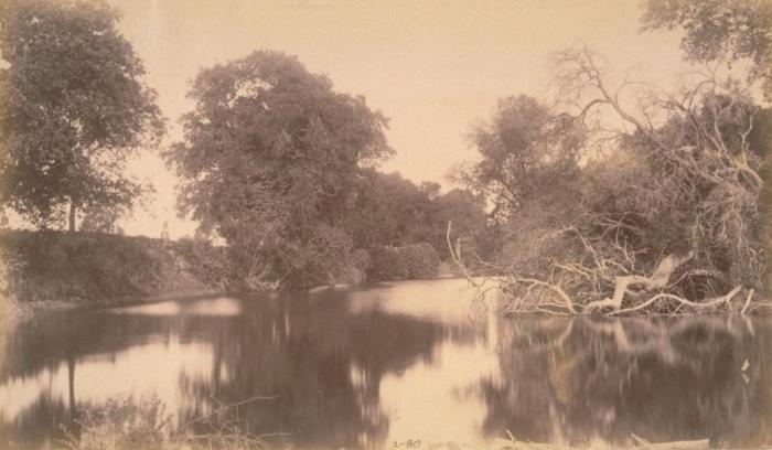 The Sacramento Valley was, and still is, a valley shaped by water.

SFEI’s new Historical Ecology Study reveals how the river basin once functioned, and how that history can guide today’s floodplain reactivation for fish, birds, farms, and communities.