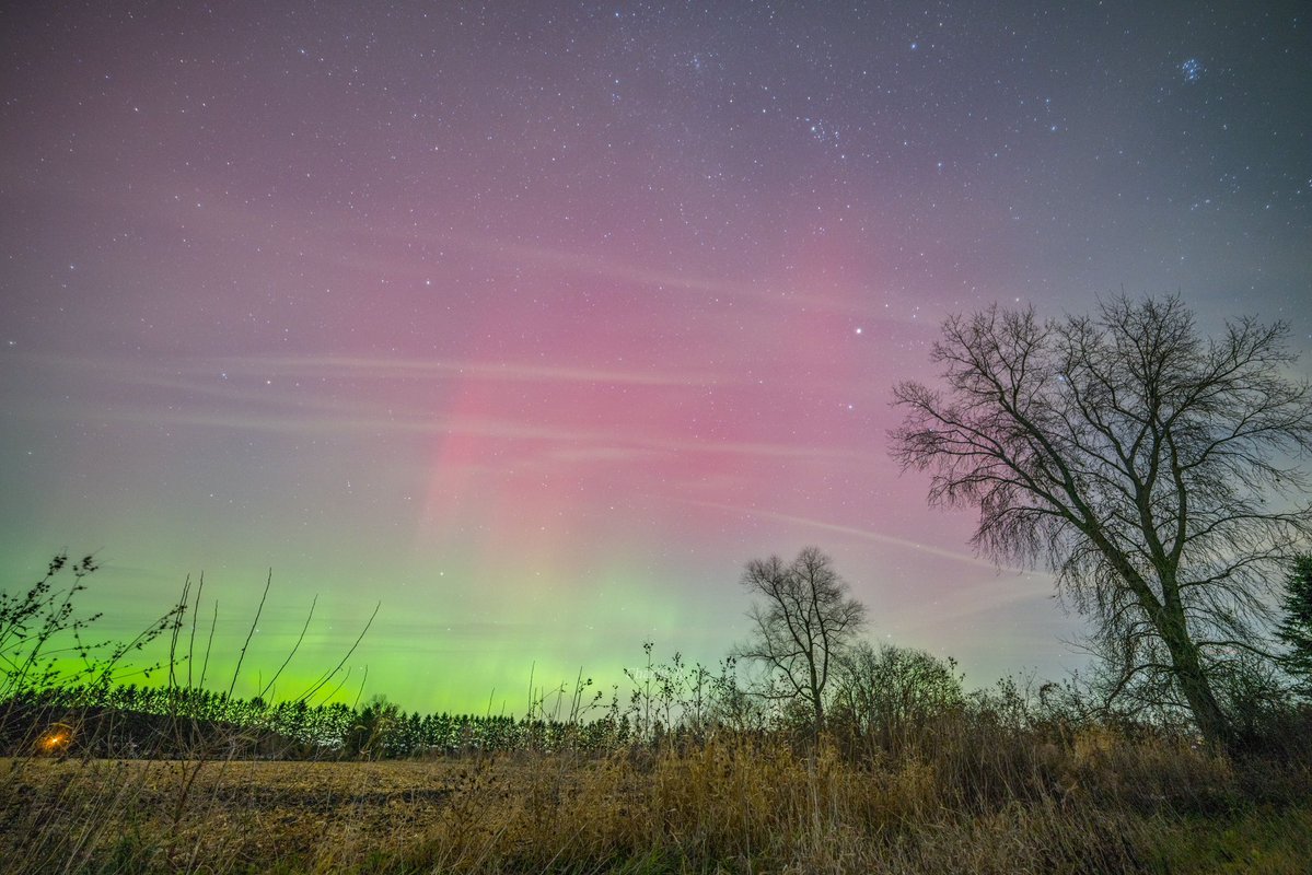 CharlieBourdo's tweet image. Aura