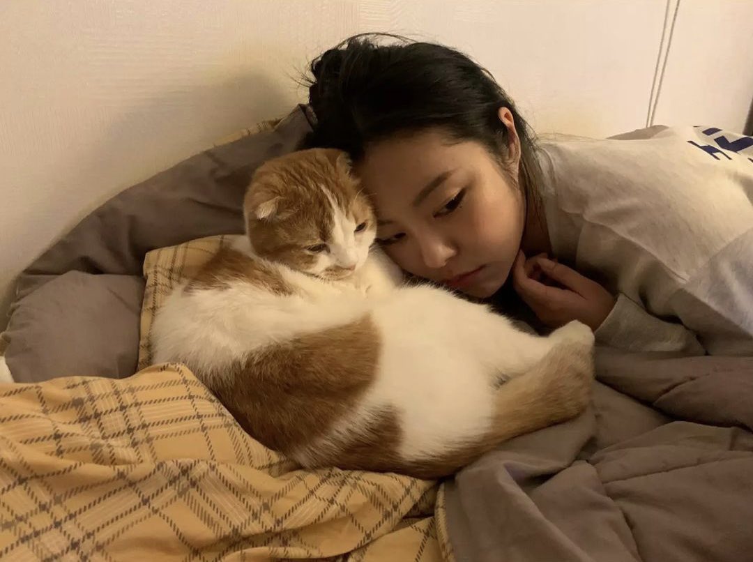 wheeix's tweet photo. happy birthday to wheein’s baby sweet little kitty, ggomo! 🐈 https://t.co/rDvjcpapjH
