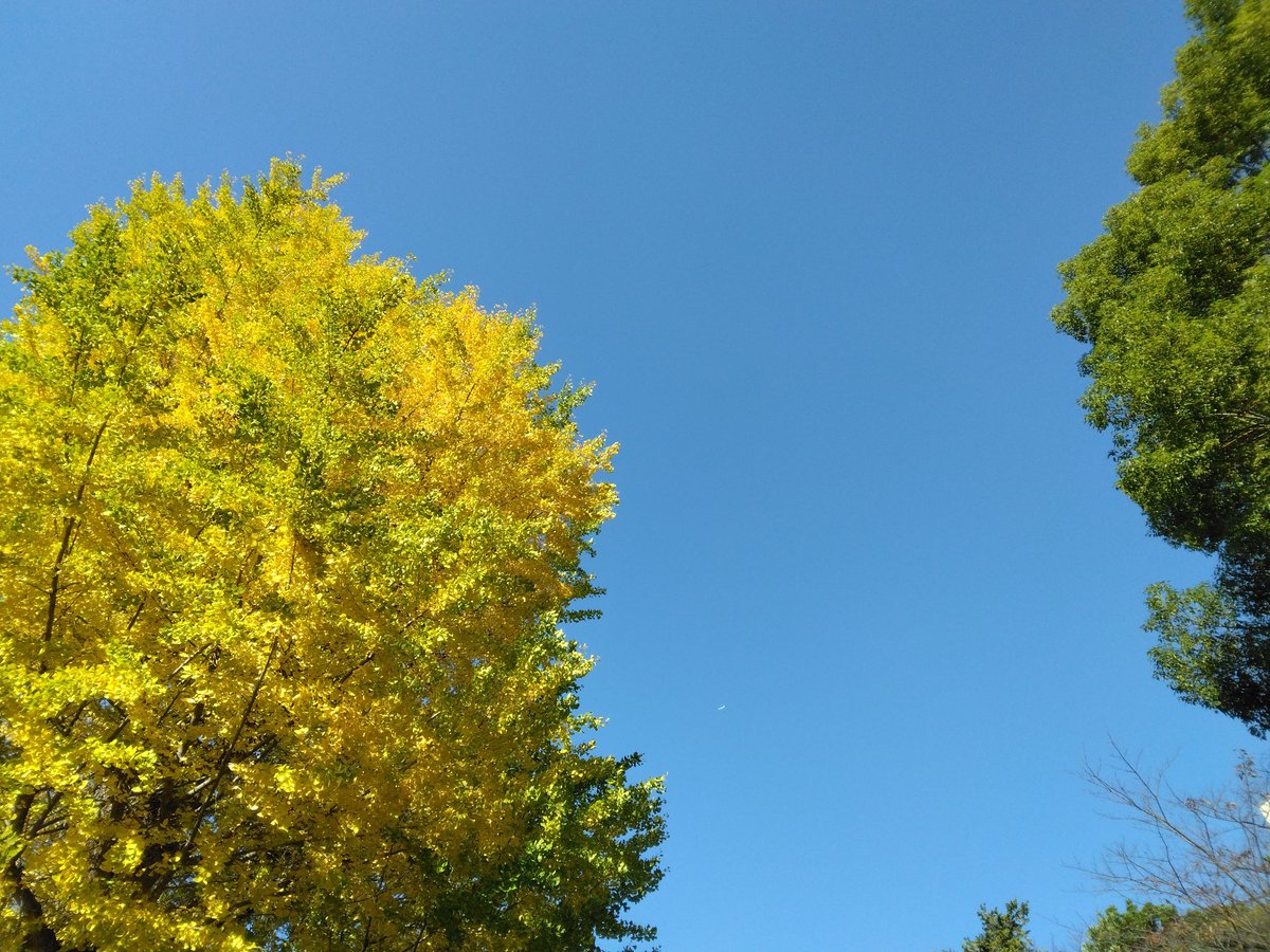 Makiko_4716 (@4716Makiko) / Posts / X