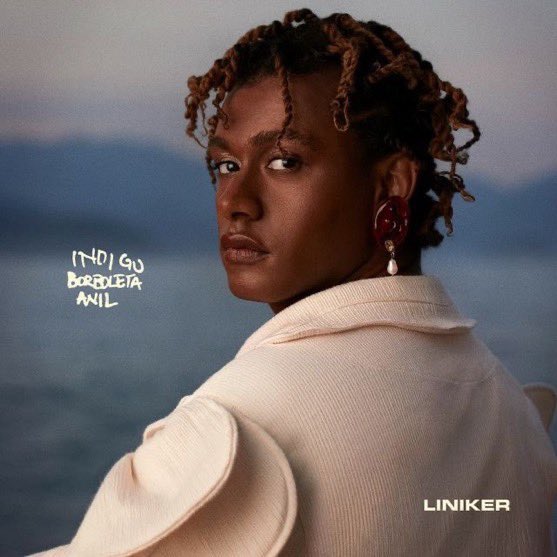 negrxjpeg's tweet photo. imagina sua discografia ser essa e ainda ser tirada pra merda? tem que ser muito retardado mesmo pra não enxergar a liniker como um grande marco da nova geração pra musica brasileira https://t.co/LeVL5k31QY