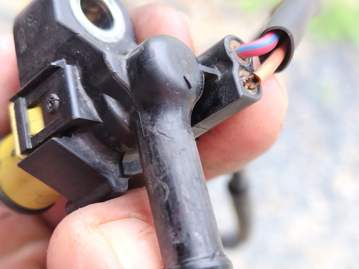 シグナスを兄貴に譲った 兄弟のよしみでこれだけは言っておく 「古い