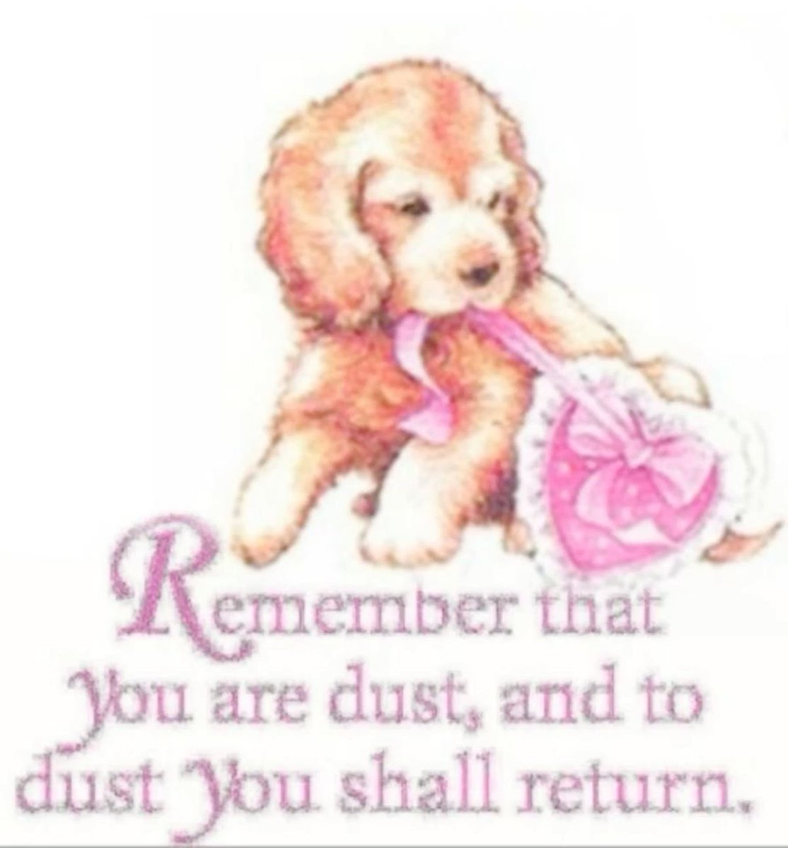 :( (@itsoverkitten) on Twitter photo 