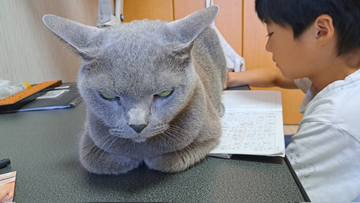 こけ助パパ (@kokesukepapa) / Posts / X