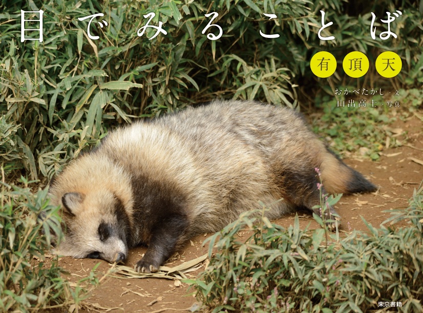 タヌキ寝入り Post by 九目🐾🐾🐈‍⬛。 on X: タヌキ寝入りです