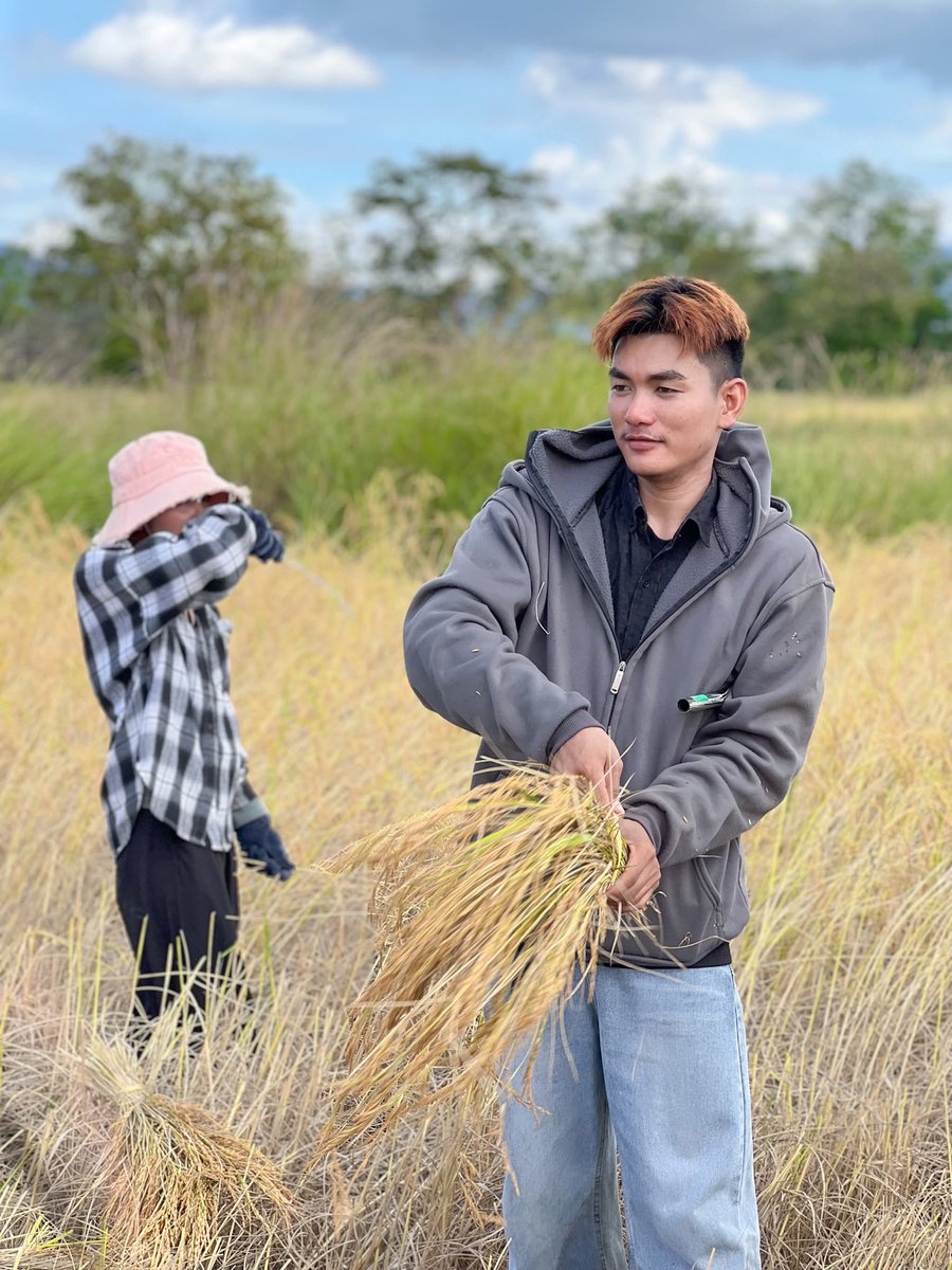 ស្រែសុទ្ធ