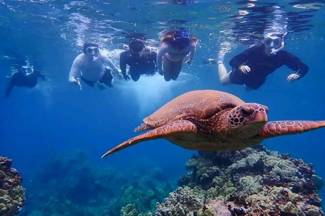 Ceylontourlink's tweet photo. 🌊🐬 Mirissa Ocean View – Dive Into Pure Paradise! 🌴✨

📸 Photo credit: Mirissa Ocean View Diving

📲 Ready for your next ocean adventure?
👉 WhatsApp: +9477 872 3288
👉 Email: info@ceylontourlink.com
👉 Website: https://t.co/LRML52nLRe

#Mirissa #MirissaDiving #CeylonTourLink https://t.co/EvZkdAMU7C