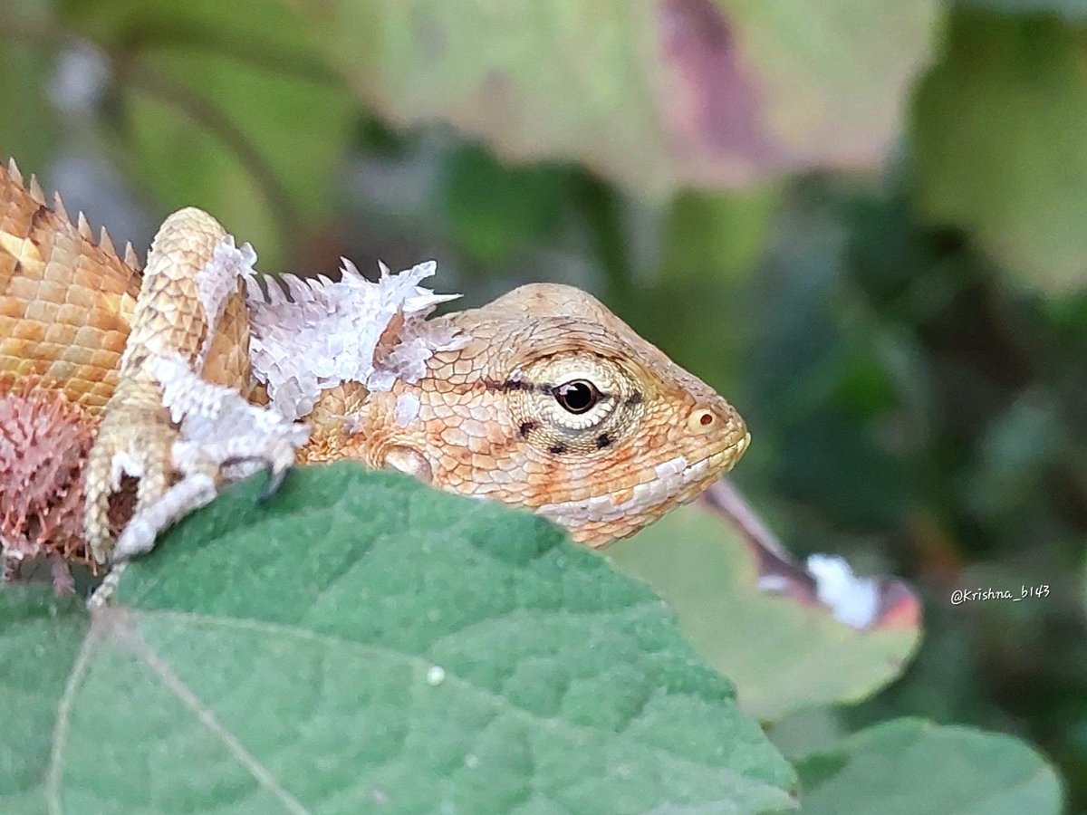 Saw it..
Liked it..
So clicked it..!!