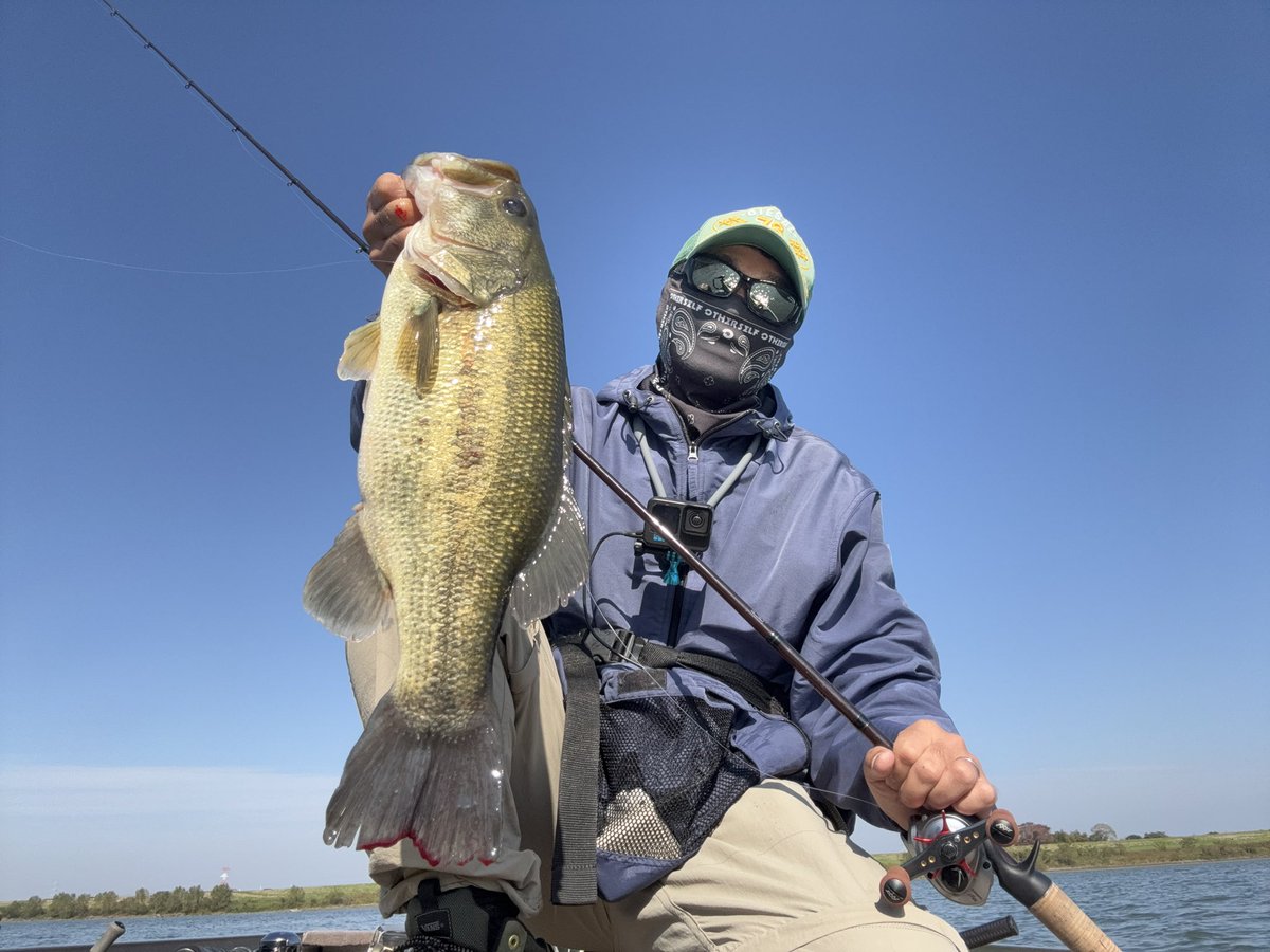 トネチッタ tonecitta (@glitters83) / Posts / X