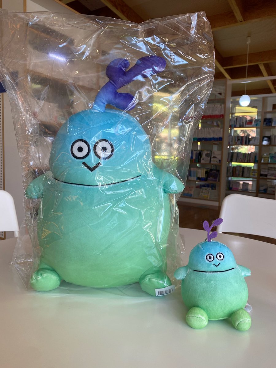 ぬいぐるみ ① Y120590_01.webp