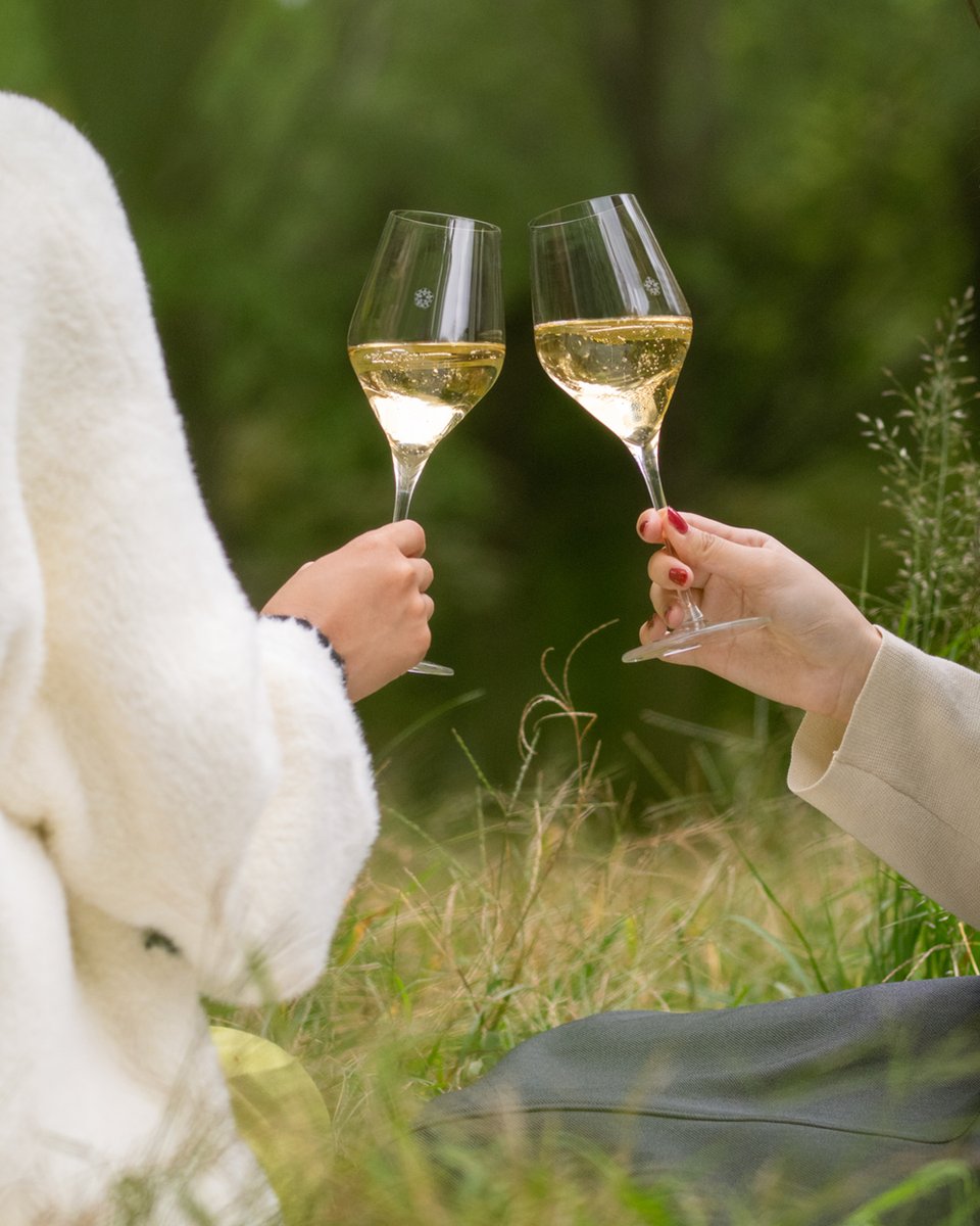 澄みわたる秋空の下、ニコラ・フィアット オーガニック エクストラ ブリュットを連れて、外の空気を楽しもう🍾✨

家族や友人と過ごす、いつもの時間がふと心に残るひとときに。

#nicolasfeuillattejapan #nicolasfeuillatte #champagne
#ニコラフィアット #シャンパン #シャンパーニュ