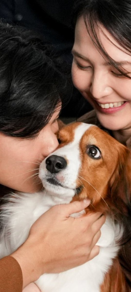 デコピンページ Dekopin (デコピン) 🤎 #Decoy #Dekopin #DekopinOhtani #DecoyOhtani