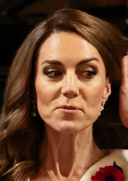 NSome1ne's tweet photo. Why is it so deep, deeper than the Great Blue Hole?
I'm talking about the sinkhole in #KateMiddleton's neck.
Every time I look at that pic and the other pics, especially that ๐, the first thing my eyes are drawn to is not her housekeeper's dress but her neck.
#ScaryShit ๐ฑ https://t.co/opNMkd9nDx
