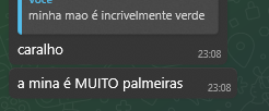 Senhorita não bebe cerveja ⓟ tweet media