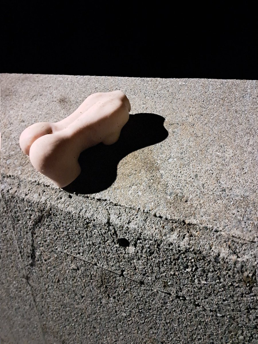 kumakumaprogram's tweet image. ありのまま起こったことを話すぜ
釣りに行ったらオナホが置いてあった