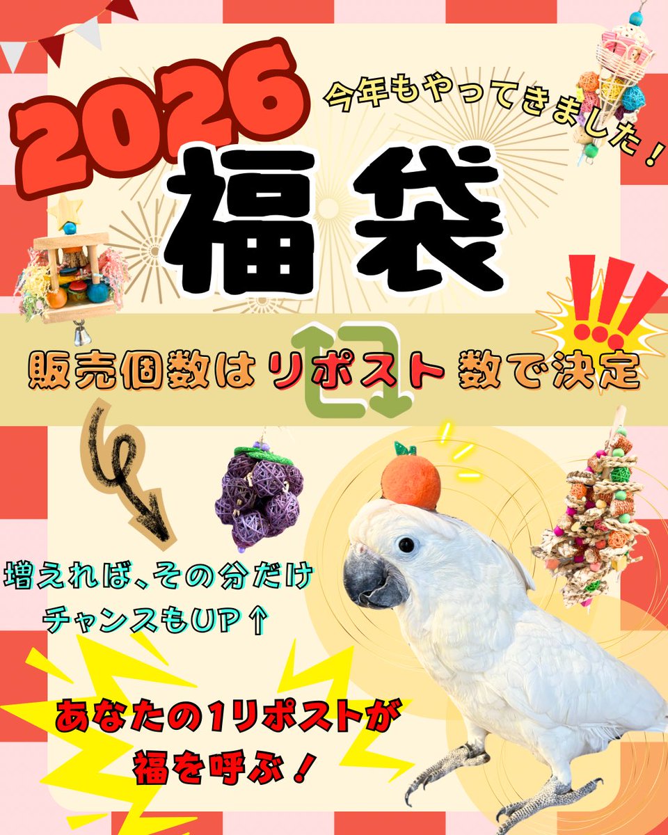 鳥のいるカフェ千駄木店 tweet media