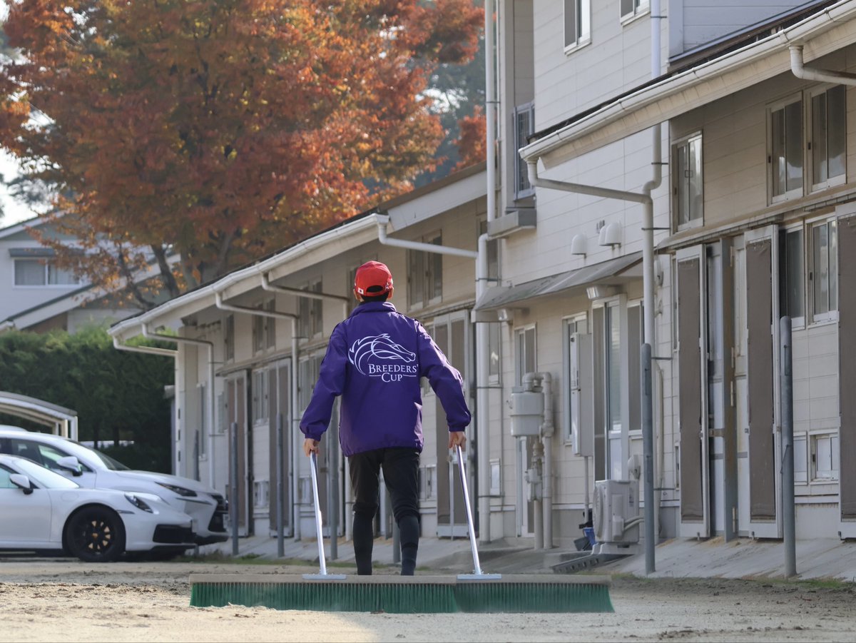 joefujii1's tweet image. 坂井瑠星騎手が矢作厩舎の前でハロー掛けをしているのを見かけました。

ブリーダーズカップ制覇という偉業の後でも、変わらず日常業務を丁寧にこなす姿勢を尊敬します。

Watching Ryusei Sakai harrow the ground outside the Yahagi stable, even after his Breeders' Cup triumph, reminded me of