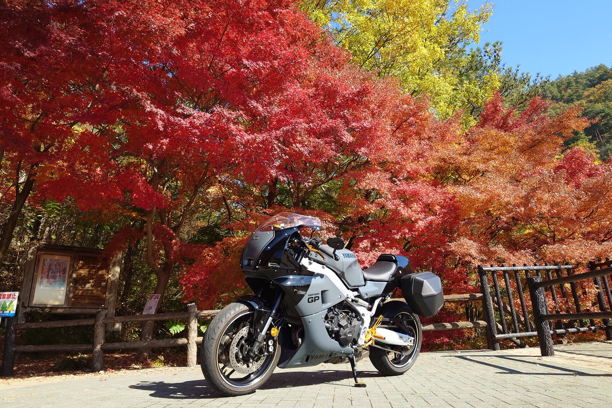 ⇒ しん (@shinno026) / Posts / X