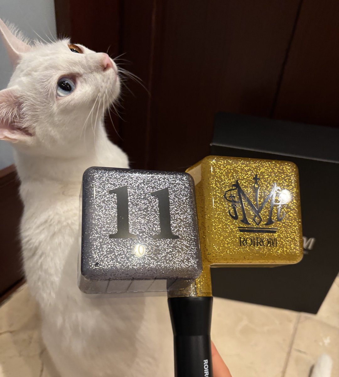 ROIROMのペンラ、思ってたより大きくて猫の顔と同じ大きさ！！ 可愛い