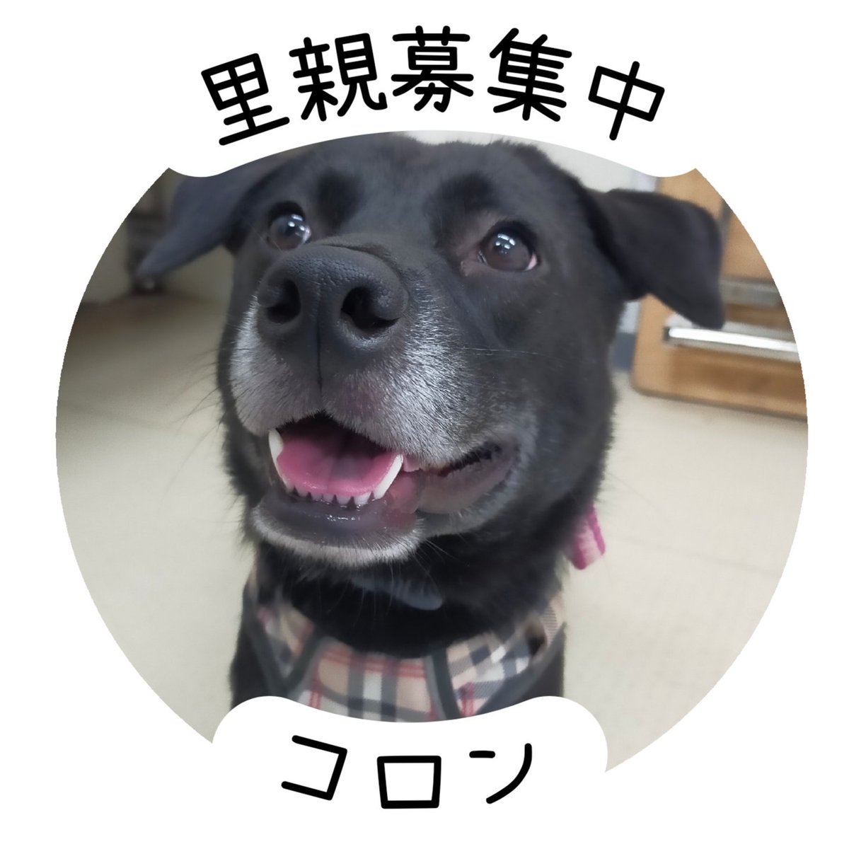 ありがとうございます😍