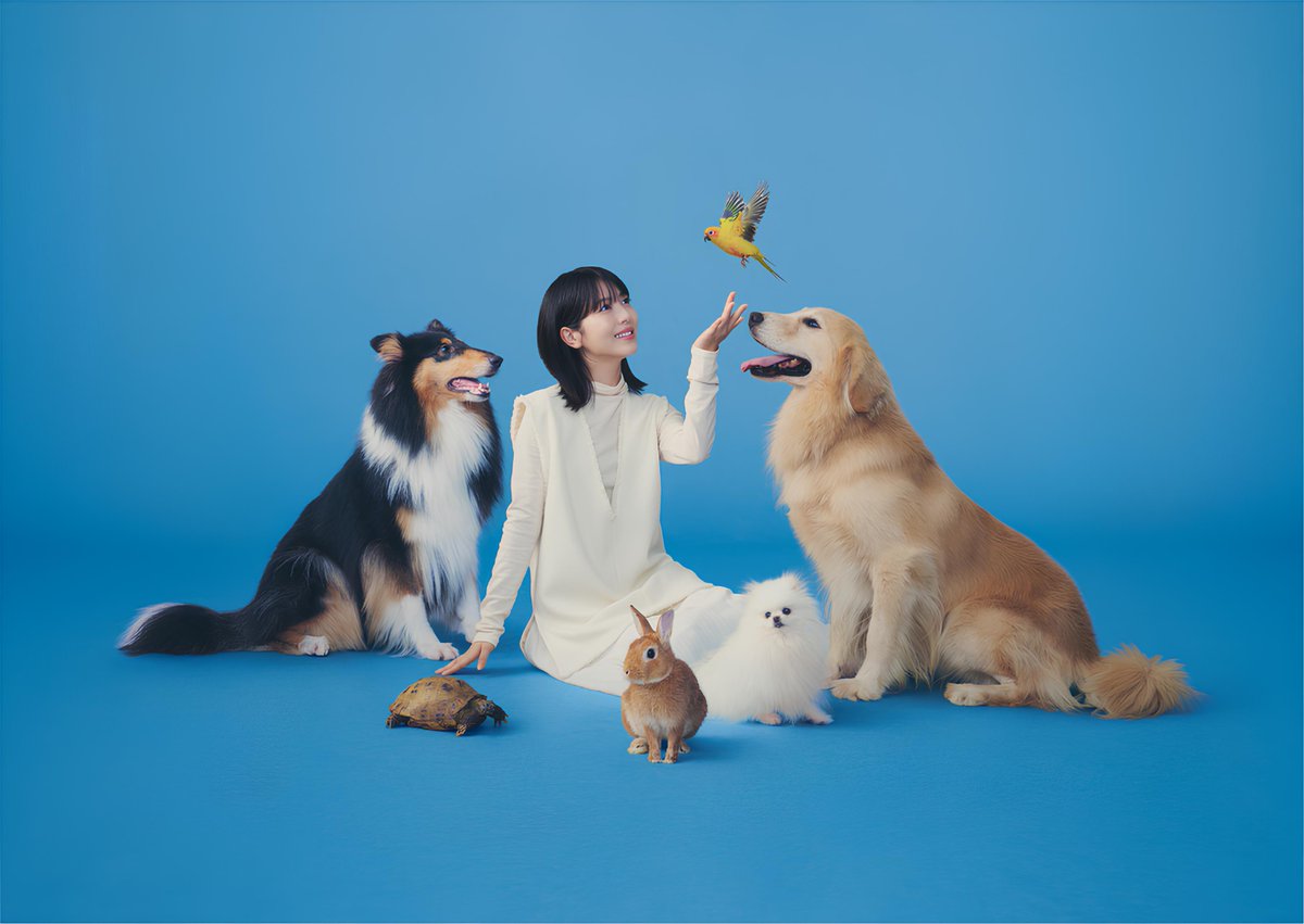 HappySakeLife2's tweet image. 📸横3218サイズにアップスケールして高画質化。
jp.sharp/kuusei/kukinok…

写真がボヤけてるので鮮明に。だけどファイルサイズが逆にスリムになるので保存するならコッチがオススメです。しかし見にくいセンスのないサイトデザインだ。

#浜辺美波
#SHARP
#空気清浄機
#くうきのかだい