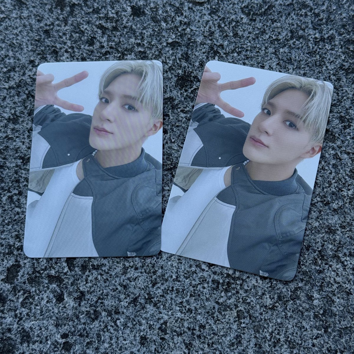 🐻💫 tweet media