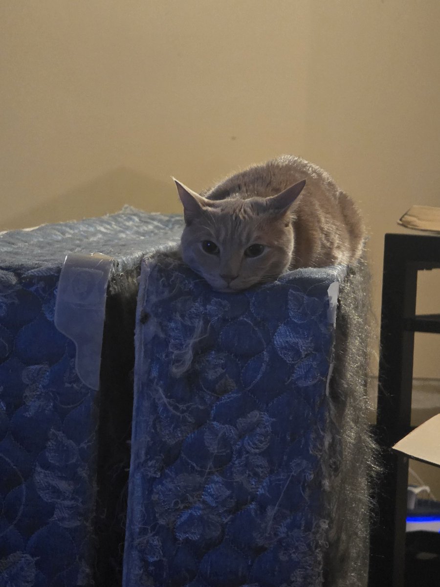 Bubbabay44 (@bubbabay44) on Twitter photo 