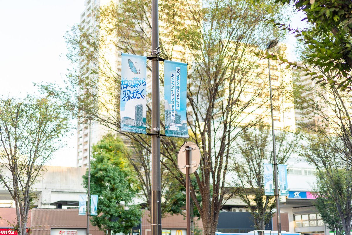 三井不動産・UDCKタウンマネジメントが主催し、柏市が後援する柏の葉