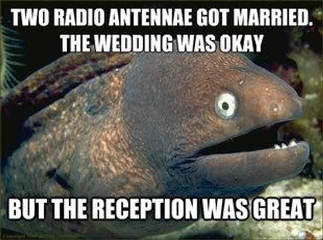 Neilfan12's tweet image. 📻💒 #TV #Radio 🤦‍♂️ #Reception #Puns 💒📻