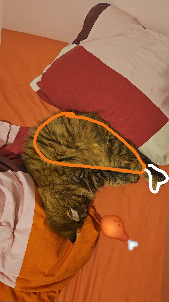 Mathookee's tweet image. Tsuki tu fais dodo en cuisse de poulet ?