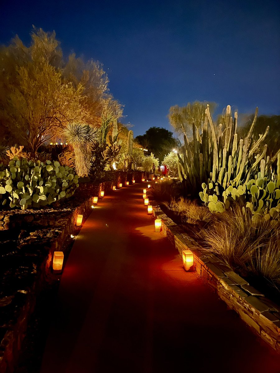 Have a nice weekend everyone! Goodnight from Arizona. 🌙