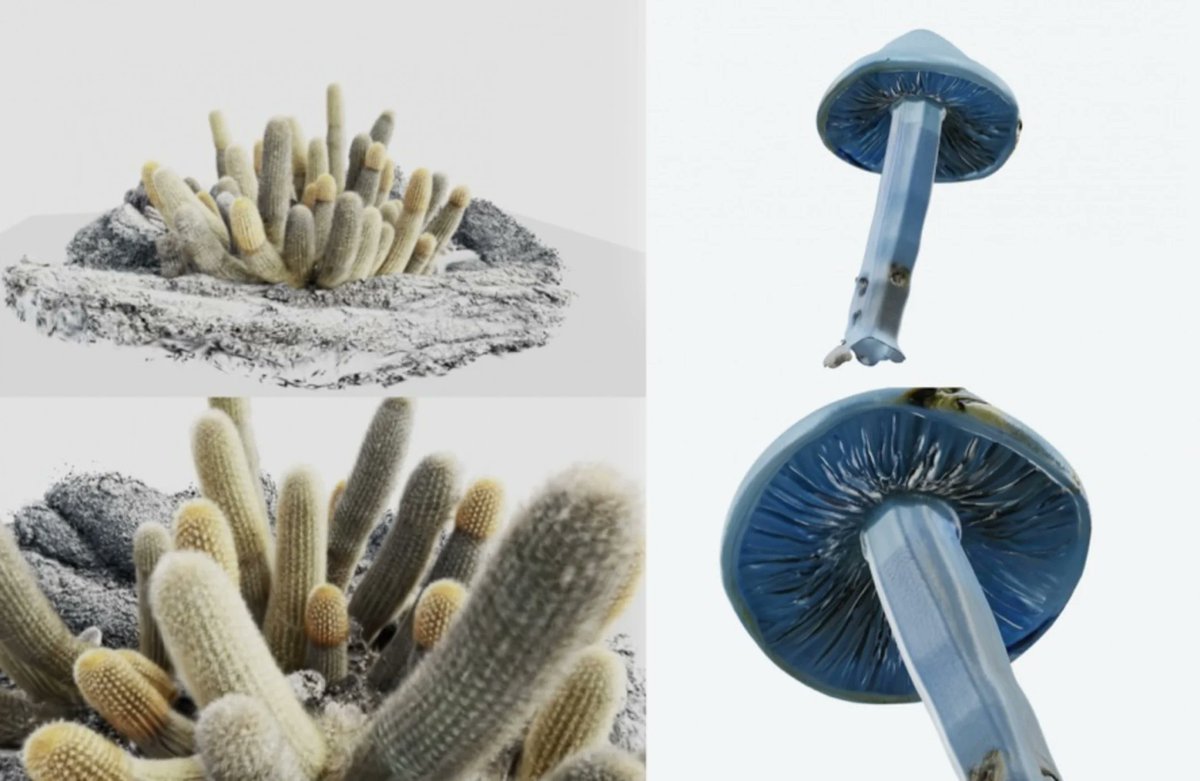 【こちら本日開催です！】
3Dデジタル植物を体感する「植物デジタル体験会 #01」が下北沢で開催
digitalplant.peatix.com

3Dスキャンで記録された1000超の植物データから厳選したデータを、大型の3面プロジェクションで体感できるイベントを開催。
11/14(金) 12:00〜19:00 @下北沢・砂箱 <a href="/sunabako_jp/">砂箱｜下北沢</a>